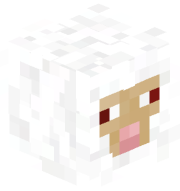 Redwooled_Sheep