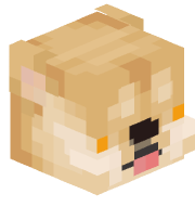 andrechappie