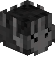 rAquiless