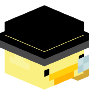 IC_XS_NI_KA