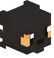 renvizous