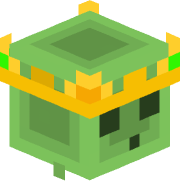 BokothePro