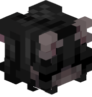 ixywas