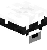 Entitilo_Olbgn