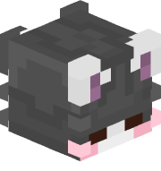 kittyqattus