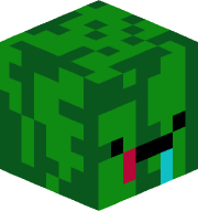 Dudeplayz1yt
