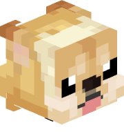 MapleTheDog