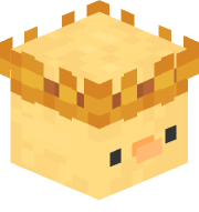 NotPoorYT