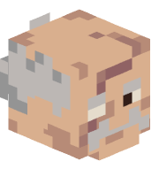 lucasxavii0011