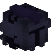 xpolarise_