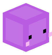 purper1234