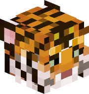 tigraquinn