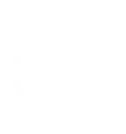 Wiz0509
