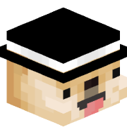 NotDogeier