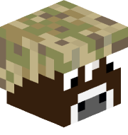 qytq
