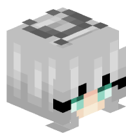 nmfas