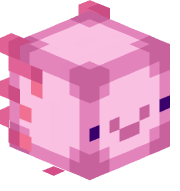 C0QESTA