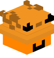 _velexus_