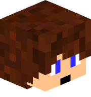 An image of the person's Minecraft head provided by mc-heads.net