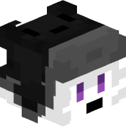 Mokr