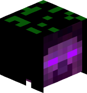 Xoontor