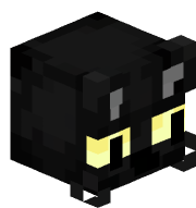 dbwyx