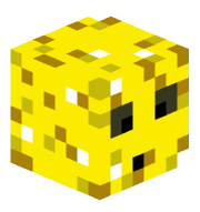 Hacsika1