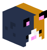 Payphone_User
