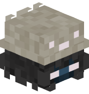 Is_Ikun