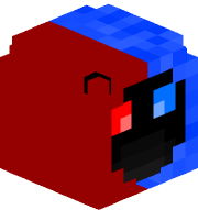 dewizjon303