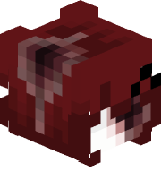 kounek