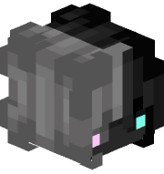 RicherSan
