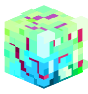 BIG_Cat10
