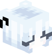 FelpBW