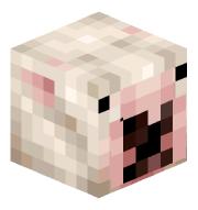 billieeyelid