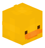 Motro_27