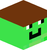 MasterMiner1o