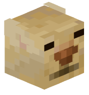 cyrkus_