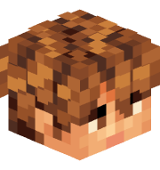 SamsonL