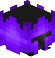 Sinkoz