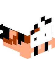 ThePolyAspie