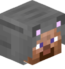 Steve 3D head