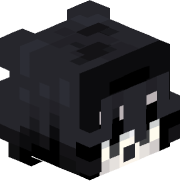 illusion_AI