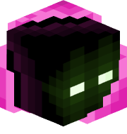 sam_xf