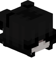 Rejectionist