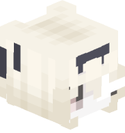 dwedwad