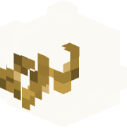 Etxyr