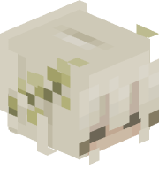 zalxn