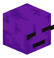 MisterNoItAll