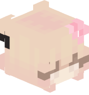SkeppyHazel